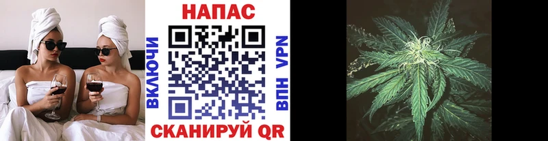Шишки марихуана AK-47  закладки  ОМГ ОМГ рабочий сайт  Новый Оскол 